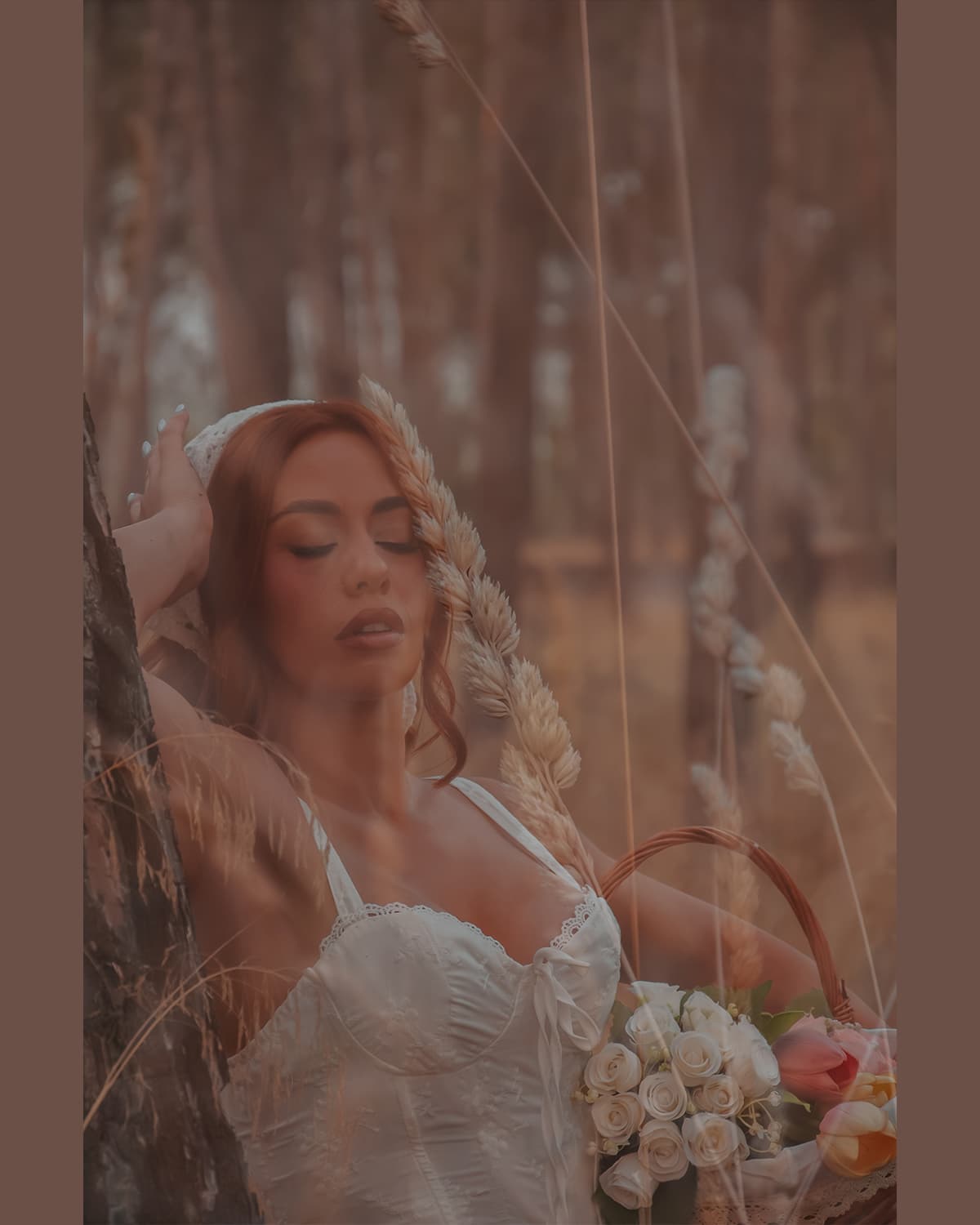 Bosque Ana
